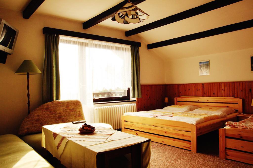 Pension Jana Harrachov Chambre photo